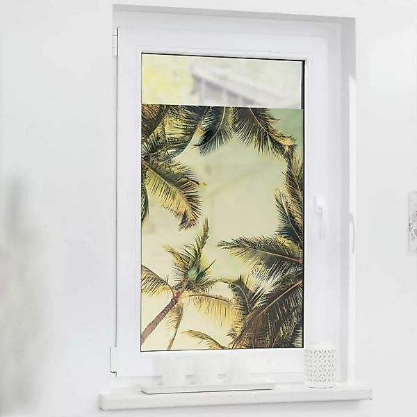 LICHTBLICK Fensterfolie Palmen grün B/L: ca. 50x100 cm günstig online kaufen