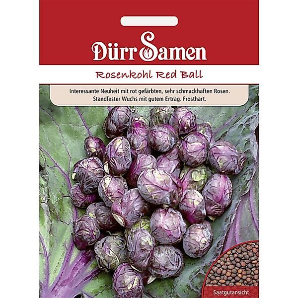 Dürr Samen Rosenkohl Red Ball Saatgut günstig online kaufen