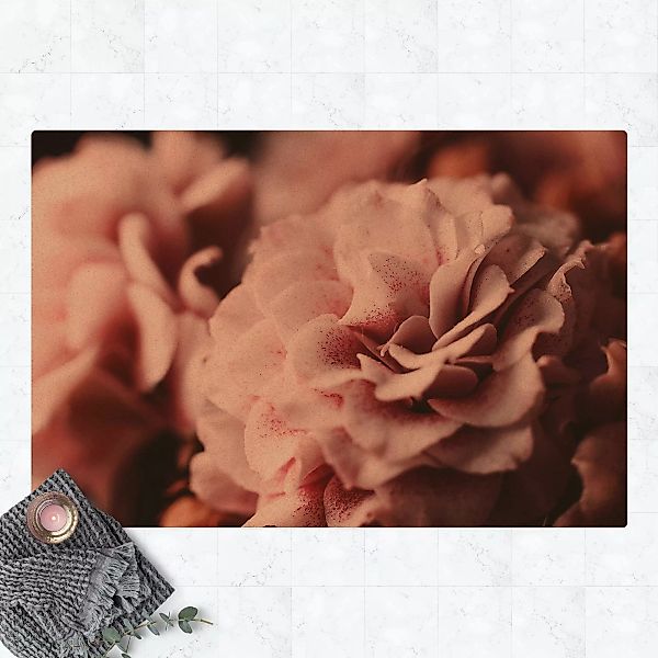 Kork-Teppich Shabby Rosa Rose Pastell günstig online kaufen