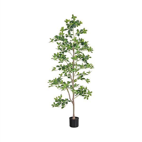 Künstliche Zimmerpflanze Künstlicher Schefflera-Baum Mit natürlichen günstig online kaufen