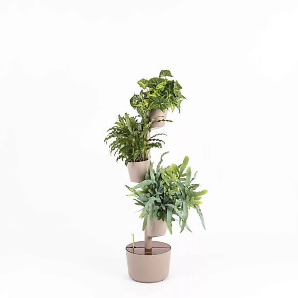Vertikaler Blumentopf Mit Luftreinigenden Pflanzen günstig online kaufen