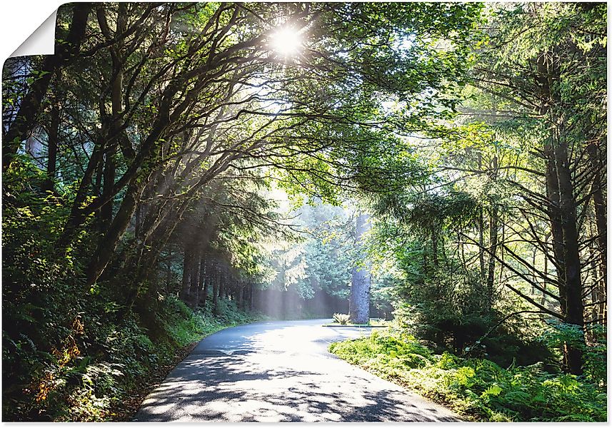 Artland Wandbild »Sonniger Wald«, Baumbilder, (1 St.), als Alubild, Outdoor günstig online kaufen
