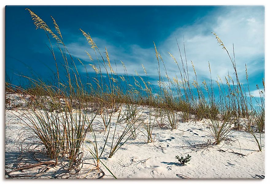 Artland Wandbild "Sanddüne und Gräser", Strand, (1 St.), als Alubild, Outdo günstig online kaufen