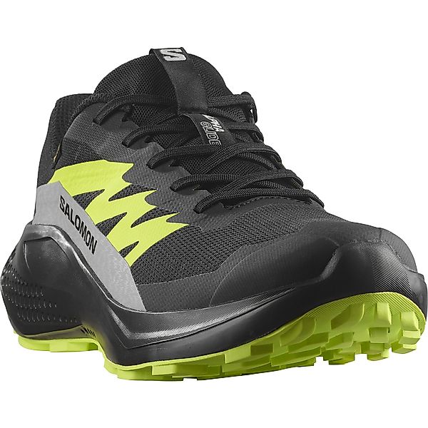 Salomon ALPHAGLIDE GORE-TEX Trailrunningschuh wasserdicht günstig online kaufen
