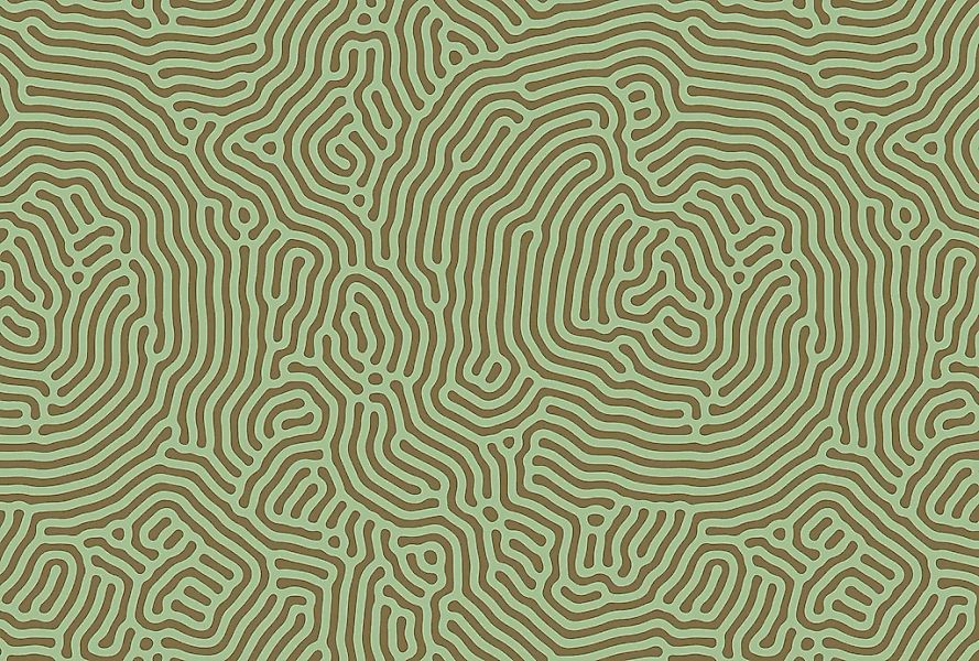 living walls Fototapete "Walls by Patel Sahel" glatt Vlies, Wand günstig online kaufen