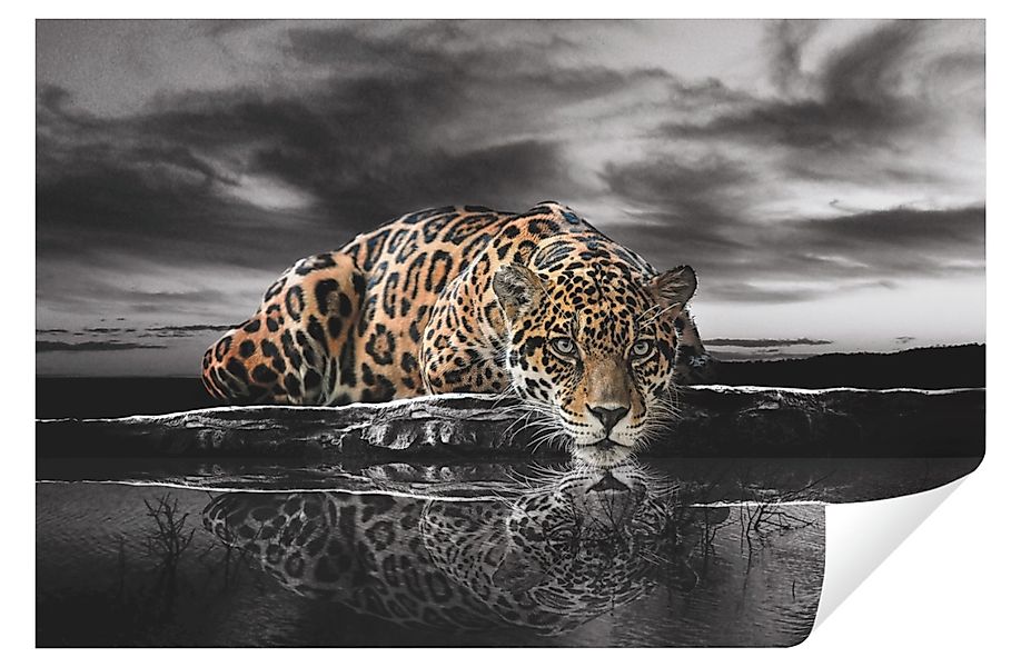Wallarena Fototapete Leopard Tiger Tiere Landschaft günstig online kaufen
