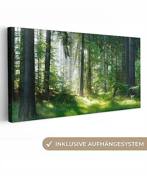 OneMillionCanvasses® Leinwandbild Panorama Natur - Bäume günstig online kaufen