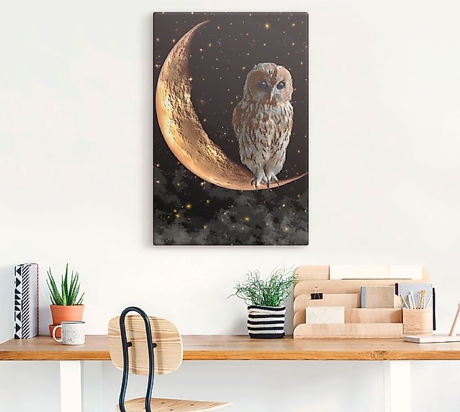 Artland Wandbild »Nachteule«, Vögel, (1 St.), als Alubild, Outdoorbild, Lei günstig online kaufen