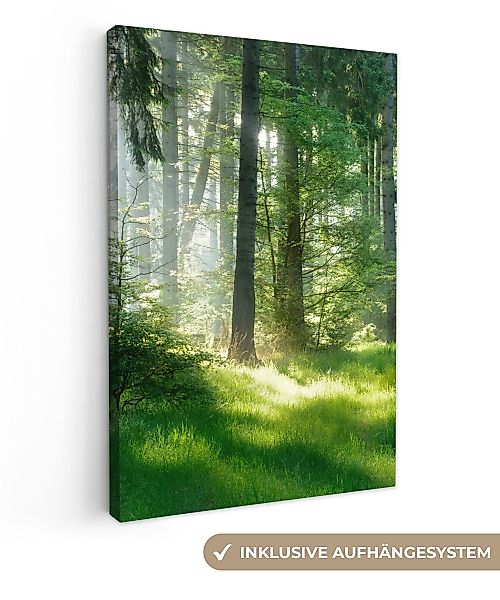 OneMillionCanvasses® Leinwandbild Natur - Bäume - günstig online kaufen