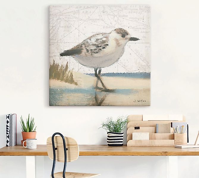 Artland Wandbild "Möwe I", Vögel, (1 St.), als Leinwandbild, Wandaufkleber günstig online kaufen