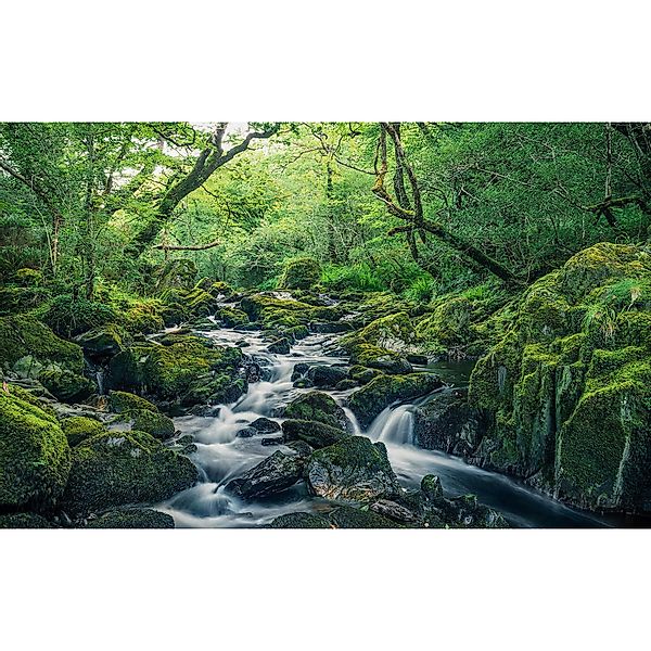 Komar Vliestapete »Digitaldruck Vlies - Green Tales - Größe 400 x 250 cm«, günstig online kaufen