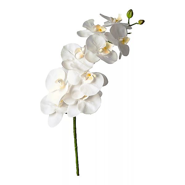 Kunstblume Orchidee ca. 98cm, weiß günstig online kaufen