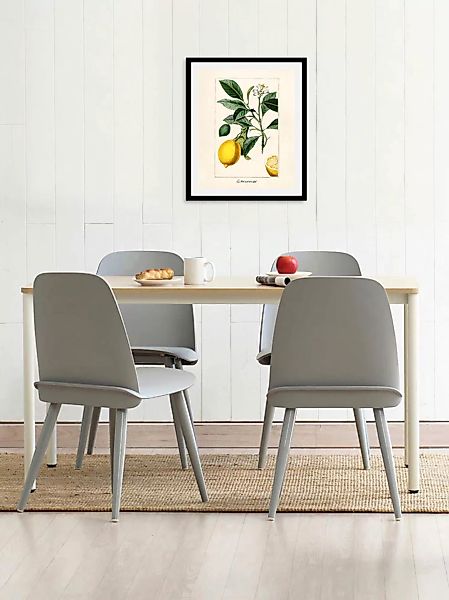 queence Bild »Citronnier«, Obst-Obst Bilder-Essen-Lebensmittel-Kunst-Schrif günstig online kaufen