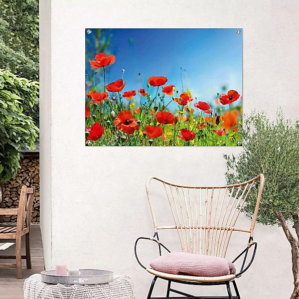 Reinders! Poster »Sommerblumen« günstig online kaufen