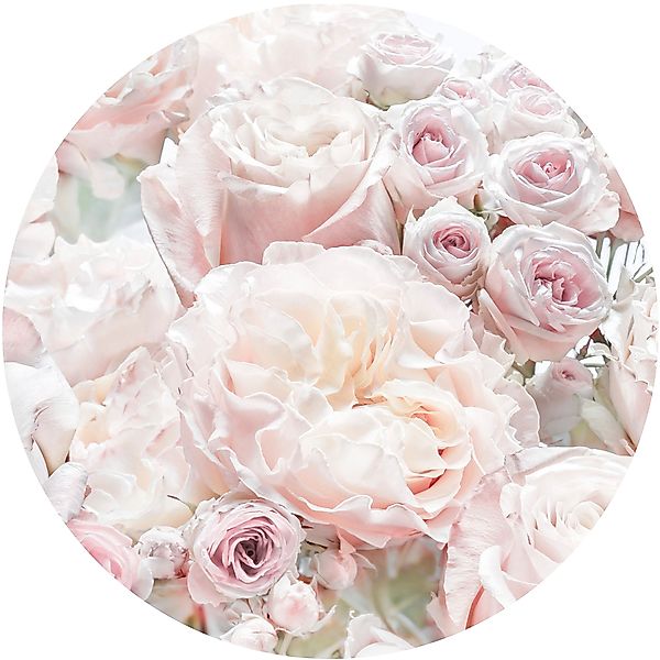 Komar Fototapete »Vlies selbstklebend - Pink and Cream Roses - Größe 125 x günstig online kaufen