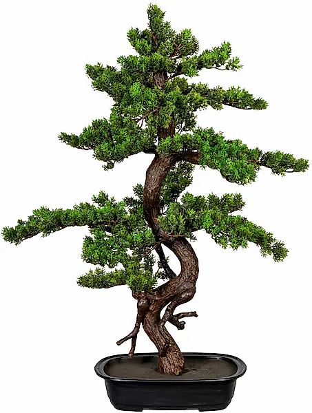 Creativ green Kunstbonsai "Bonsai" günstig online kaufen