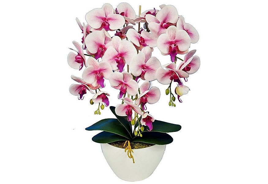 Kunstblume Orchidee, damich, Höhe 60 cm, Künstliche Orchidee im Blumentopf günstig online kaufen