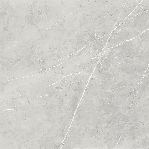 Bodenfliese Feinsteinzeug Grau 60 cm x 60 cm günstig online kaufen