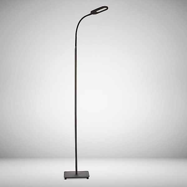 B.K.Licht LED Stehlampe, Dimmfunktion, Memoryfunktion, mehrere günstig online kaufen