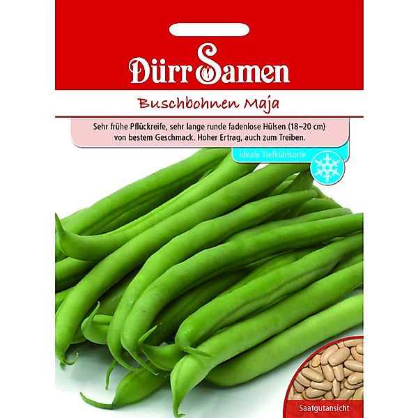 Dürr Samen Buschbohnen Maja Saatgut günstig online kaufen