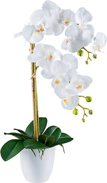 Kunstorchidee Orchidee Phalaenopsis, Creativ green, Höhe 56 cm, mit real-to günstig online kaufen