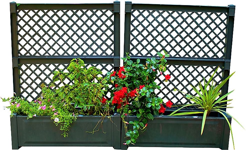 KHW Spalier 2er-Set Pflanzkasten groß 100 cm mit Zentralspalier günstig online kaufen