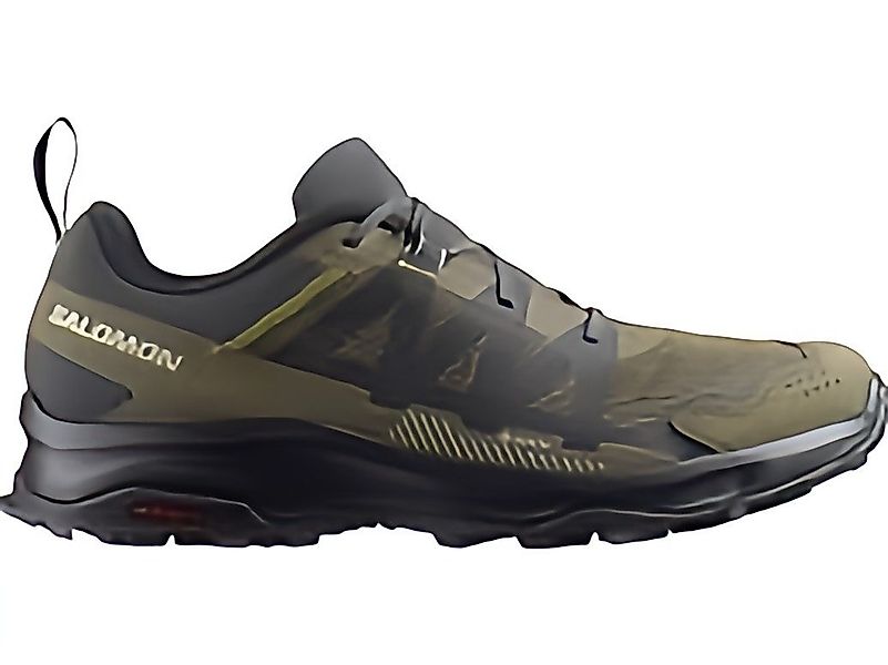 Salomon Ardent GTX für Herren Outdoorschuh günstig online kaufen