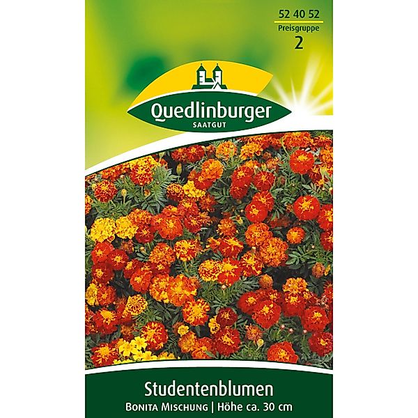 Quedlinburger Studentenblume ''Bonita Mischung'' günstig online kaufen