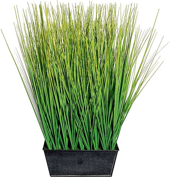 Kunstgras Gras Gras, Creativ green, Höhe 46 cm günstig online kaufen