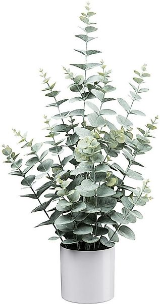 Kunstpflanze Eukalyptus, Creativ green, Höhe 65 cm, mit üppigem Blattwerk günstig online kaufen