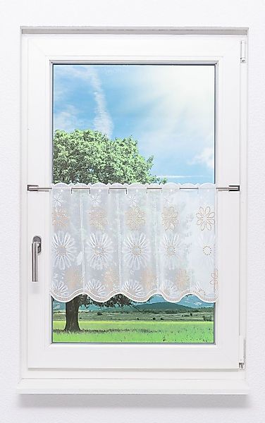 Plauener Spitze® Scheibengardine Blumenzeit, (1 St), günstig online kaufen