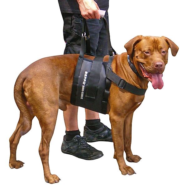 Schecker Hunde-Sicherheitsgeschirr Beppo® Hunde Gehhilfe One-Size, günstig online kaufen