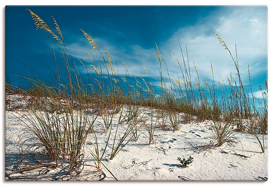 Artland Wandbild »Sanddüne und Gräser«, Strand, (1 St.), als Alubild, Outdo günstig online kaufen