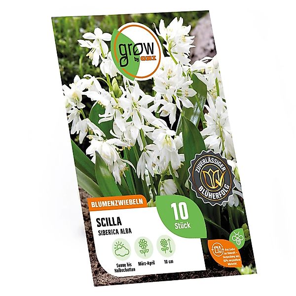 GROW by OBI Sibirischer Blaustern Alba Weiß 10 Stück Scilla siberica Alba günstig online kaufen