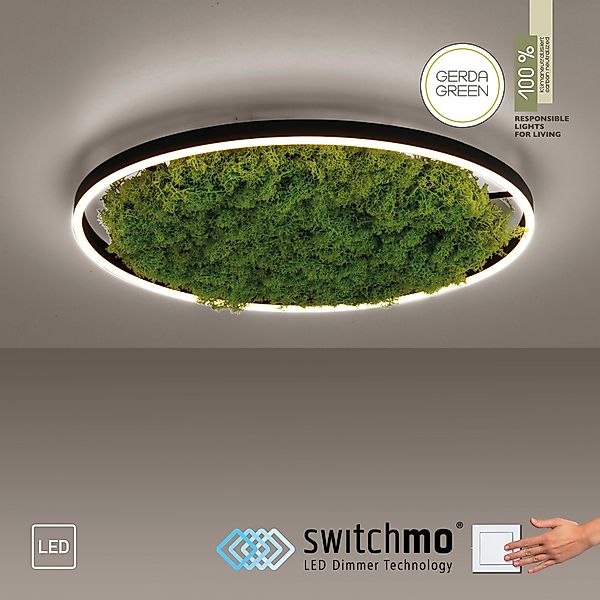JUST LIGHT Deckenleuchte GREEN RITU, LED günstig online kaufen