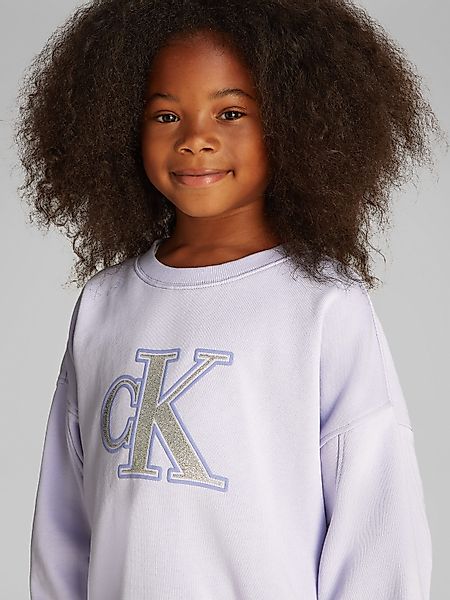 Calvin Klein Jeans Sweatshirt METALLIC CK günstig online kaufen