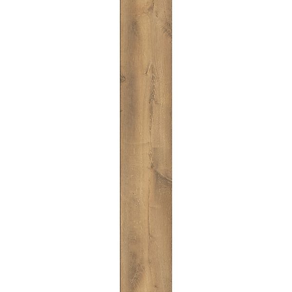 Kaindl Laminat 8,5 mm Eiche Creme günstig online kaufen