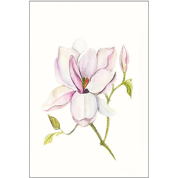 Komar Bild "Magnolia Shine" Blätter  Pflanzen 1 Stk. tlg. Wandbild zur Deko günstig online kaufen