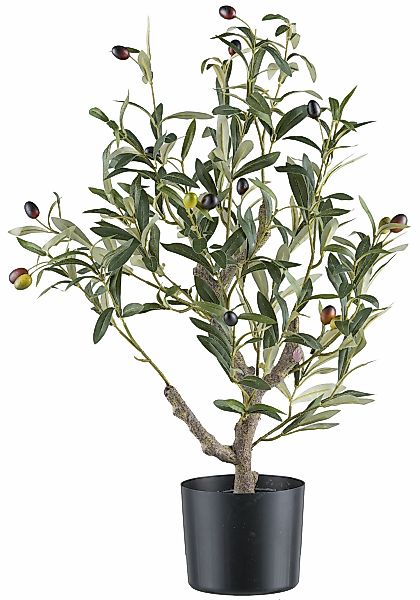 Creativ green Kunstpflanze "Olive", mit detailgetreuer Gestaltung günstig online kaufen