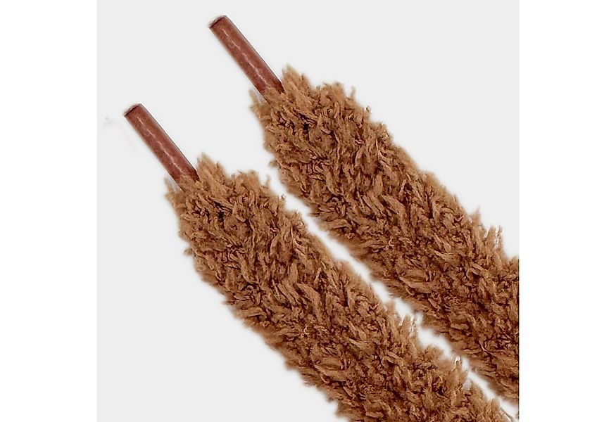 Kicksarchive Schnürsenkel Schnürsenkel Fuzzy Fluffy Laces Campus 00s Air Fo günstig online kaufen