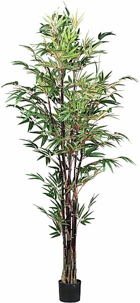 Kunstpflanze Bambus Chinese Wonder Agave, Creativ günstig online kaufen