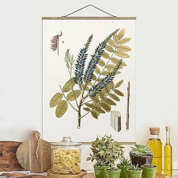 Stoffbild Blumen mit Posterleisten - Hochformat Wildkräuter Schautafel II günstig online kaufen