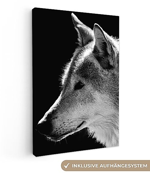 OneMillionCanvasses® Leinwandbild Wildlife - Wolf - günstig online kaufen