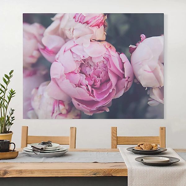 Leinwandbild Blumen - Querformat Pfingstrosenblüte Shabby günstig online kaufen
