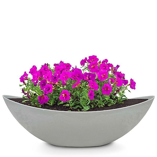 matches21 HOME & HOBBY Blumentopf Große günstig online kaufen