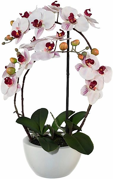 Kunstpflanze Phalaenopsis Orchidee, Creativ green, Höhe günstig online kaufen