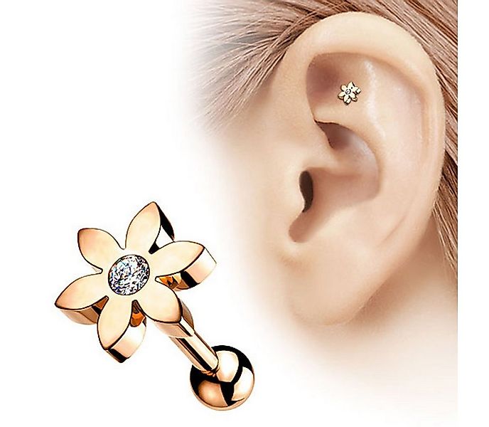 Taffstyle Piercing-Set Ohrpiercing Tragus Helix Cartilage Piercing Stecker günstig online kaufen
