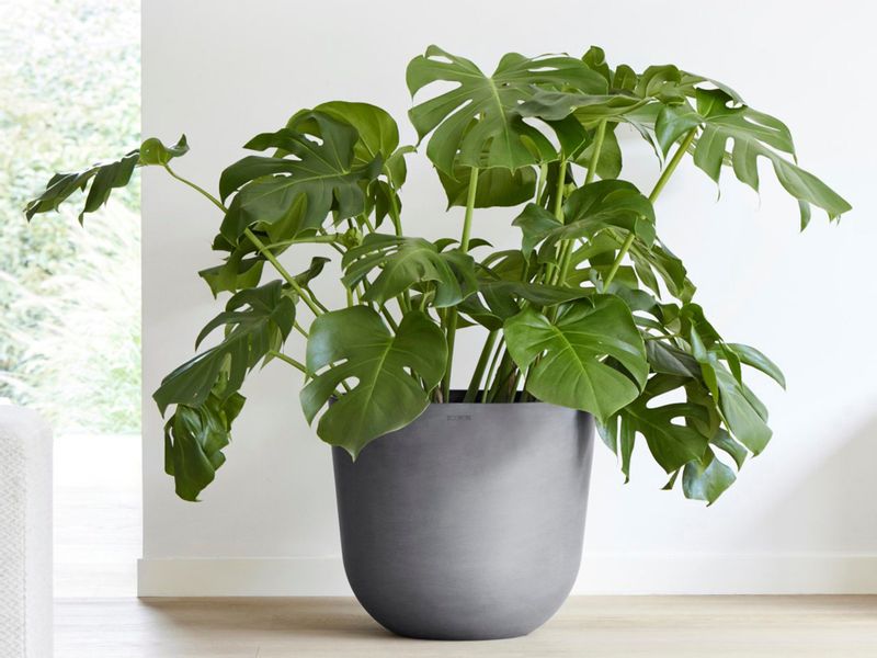 ECOPOTS Blumentopf Oslo 45 + Wassersystem günstig online kaufen