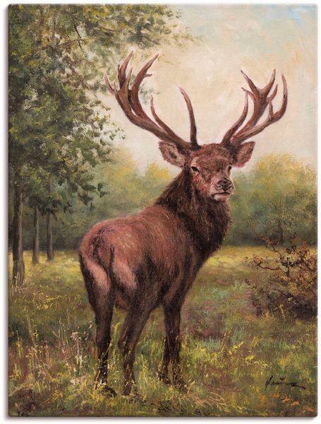 Artland Wandbild Hirsch, Wildtiere (1 St), günstig online kaufen
