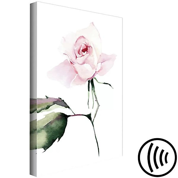 Leinwandbild Rose auf weißem Hintergrund - Motiv inspiriert von der Aquarel günstig online kaufen